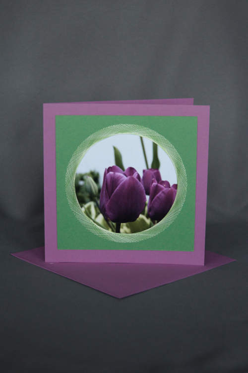 Violette Tulpen auf exklusiver Geburtstagskarte