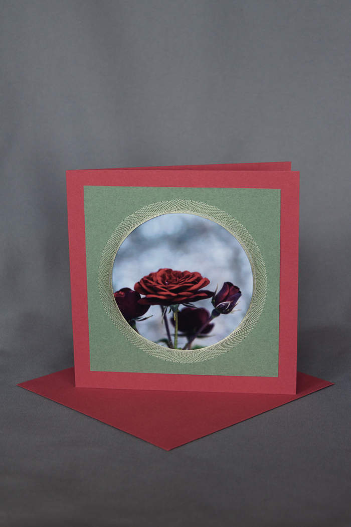 Dunkelrote Rose auf Geburtstagskarte