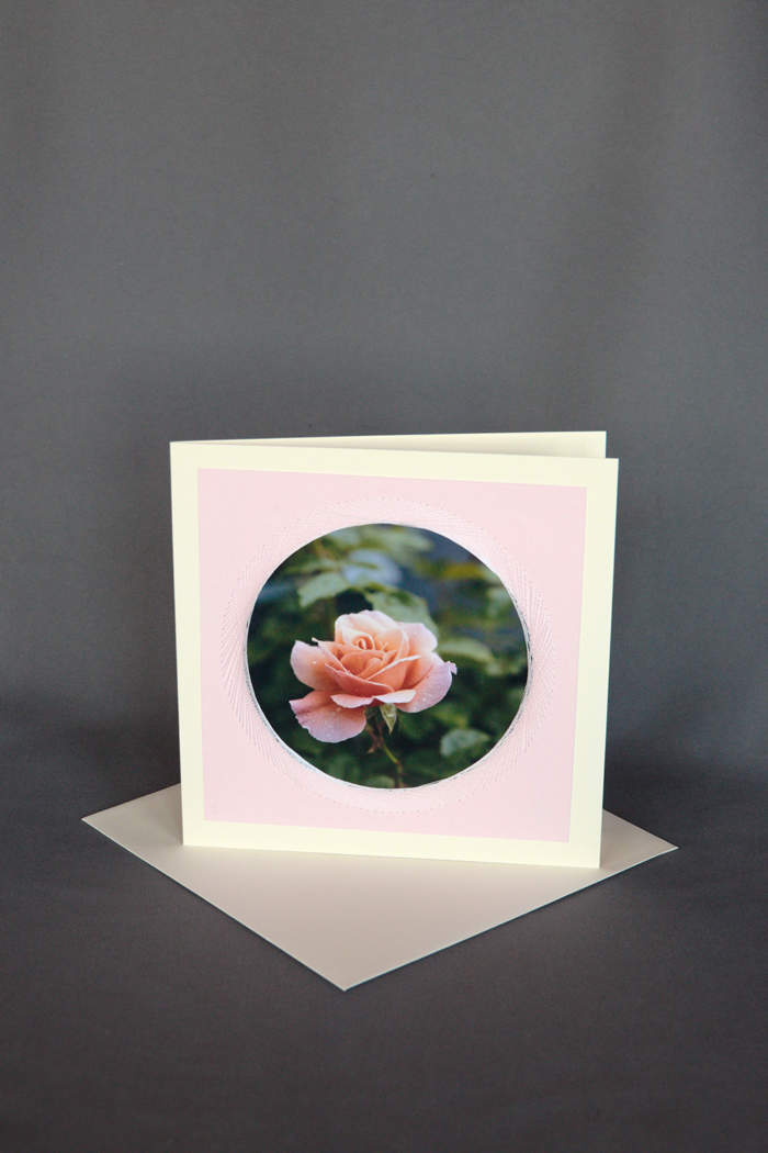 Blumenkarte mit Rose