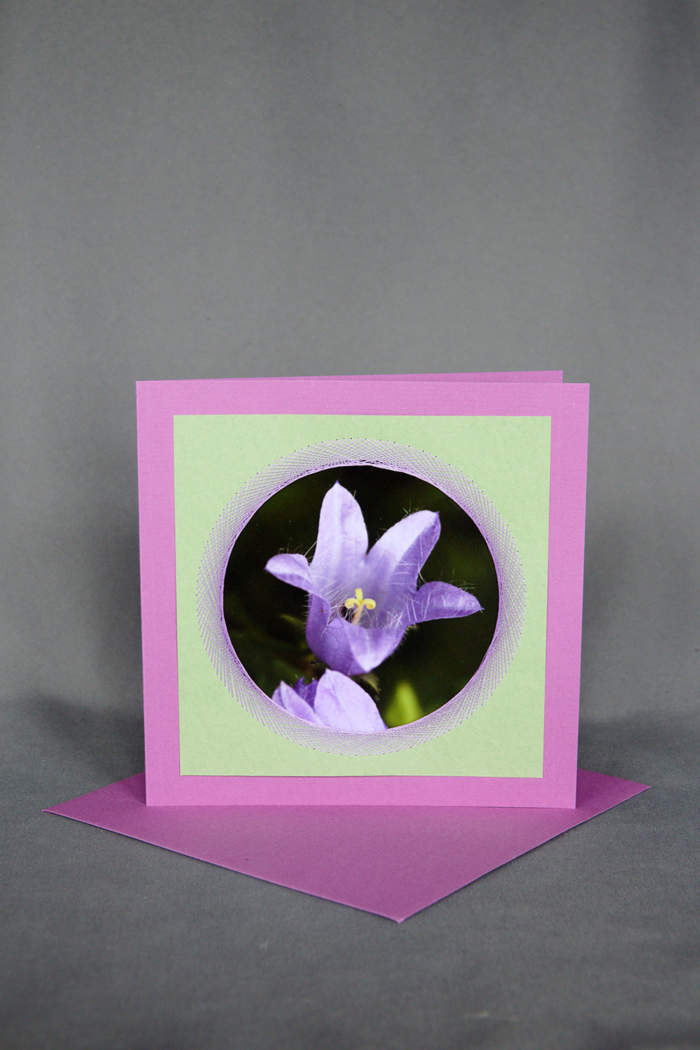 Glockenblume lila auf exklusiver Grusskarte