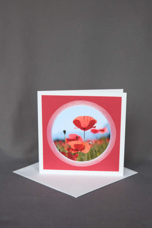 Roter Mohn auf gesticker Grusskarte