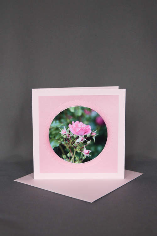 Rosa Grusskarte mit rosa Rose