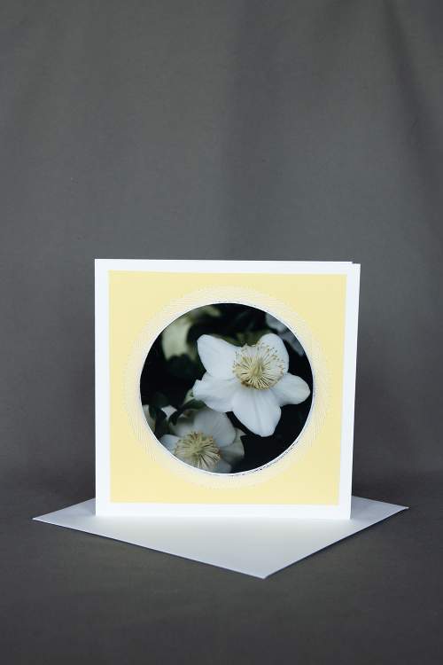 Geburtstagskarte für den Winter mit Christrose