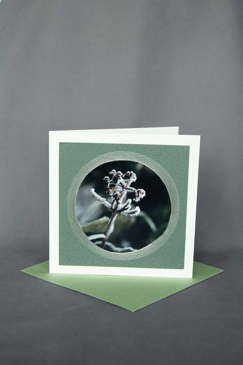 Grusskarte Geburtstagskarte